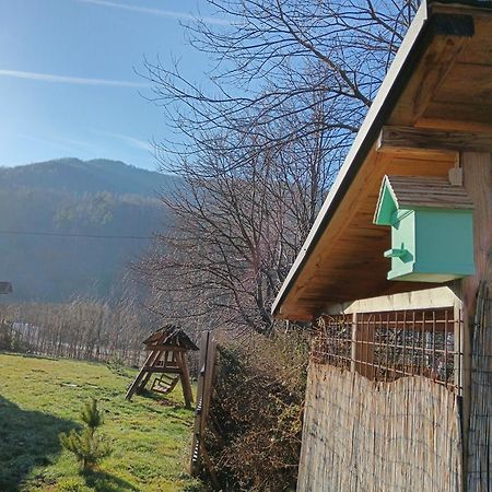 Căsuța din Rusca Villa Sebesu de Jos Exterior foto