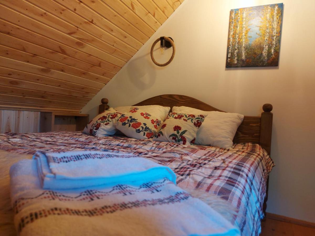 Căsuța din Rusca Villa Sebesu de Jos Exterior foto