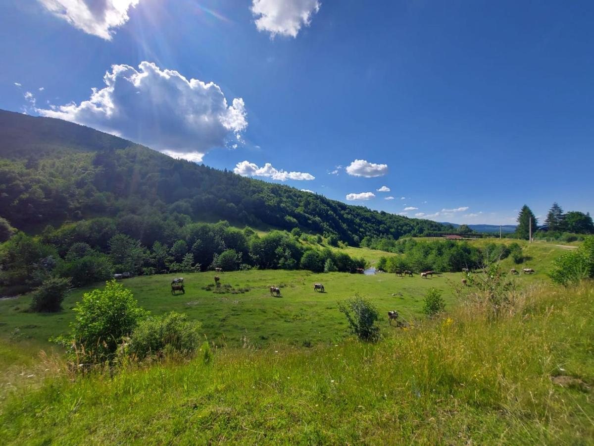 Căsuța din Rusca Villa Sebesu de Jos Exterior foto