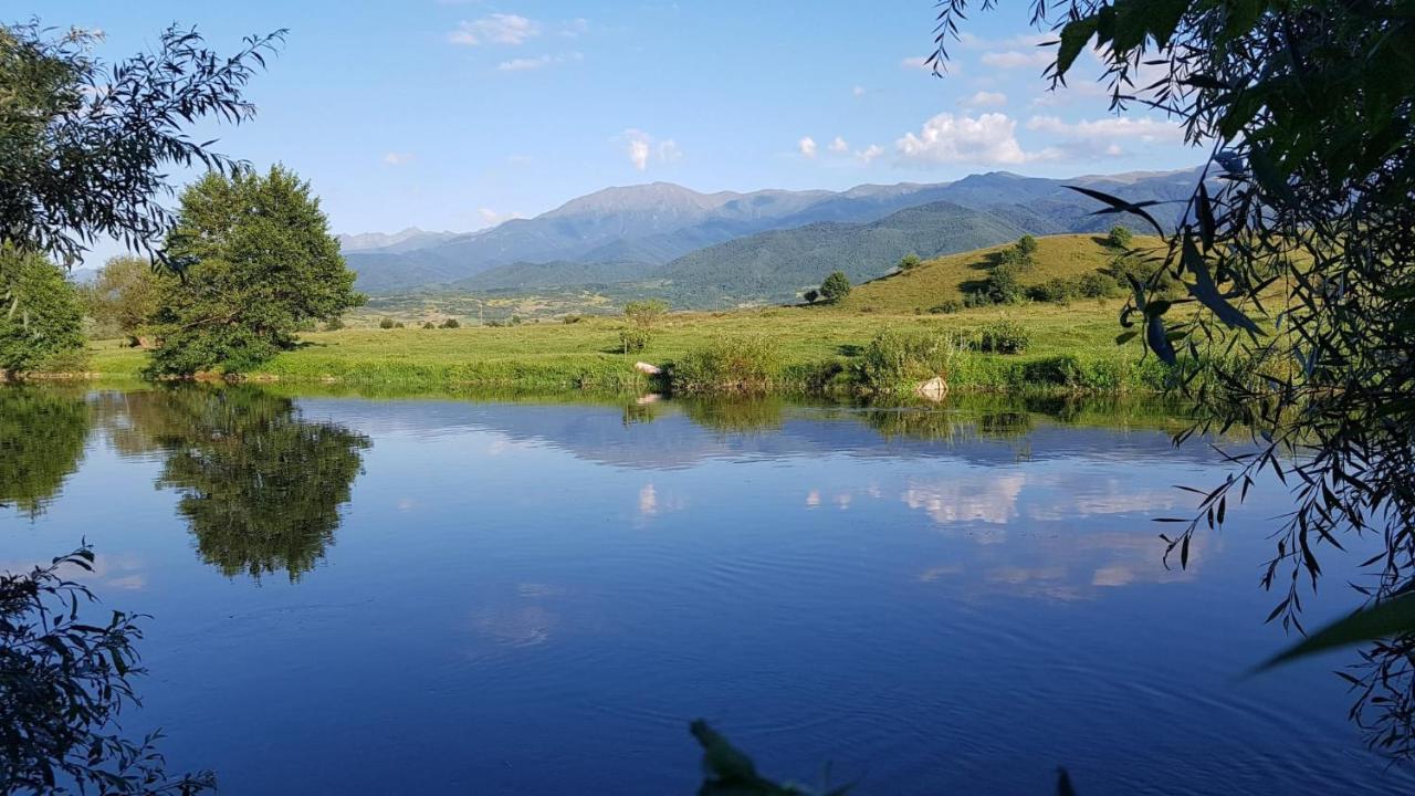 Căsuța din Rusca Villa Sebesu de Jos Exterior foto
