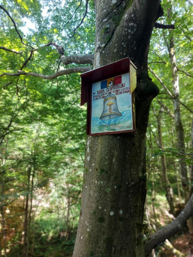 Căsuța din Rusca Villa Sebesu de Jos Exterior foto