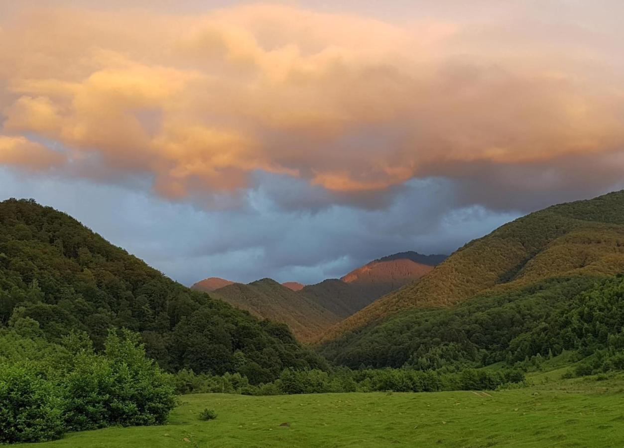 Căsuța din Rusca Villa Sebesu de Jos Exterior foto