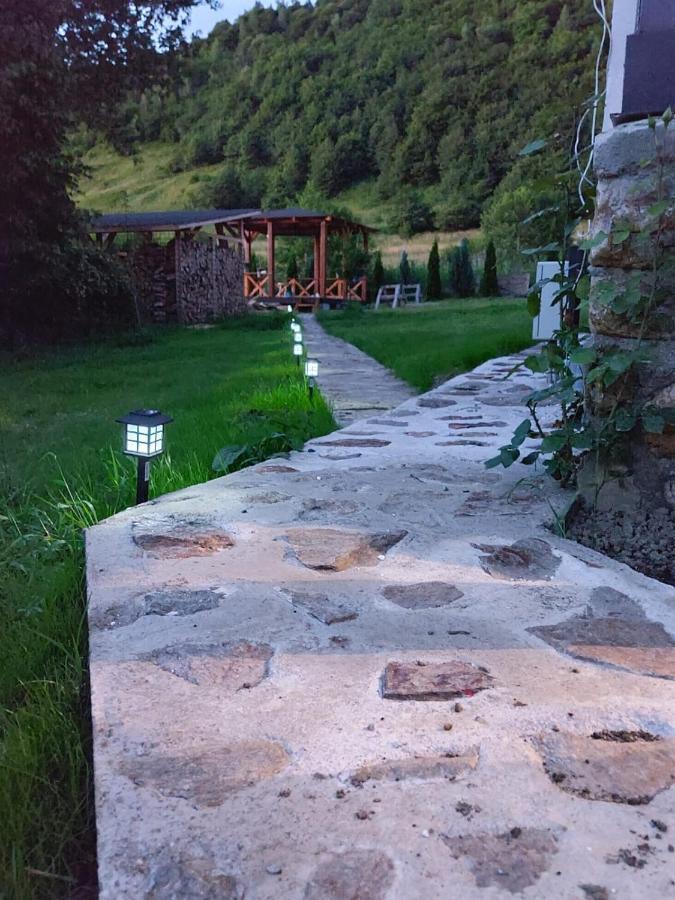 Căsuța din Rusca Villa Sebesu de Jos Exterior foto