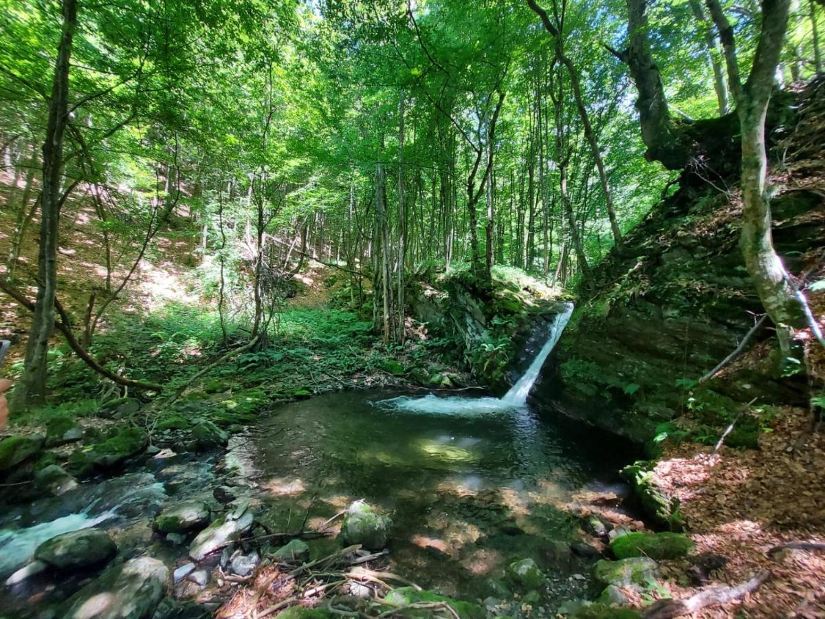 Căsuța din Rusca Villa Sebesu de Jos Exterior foto