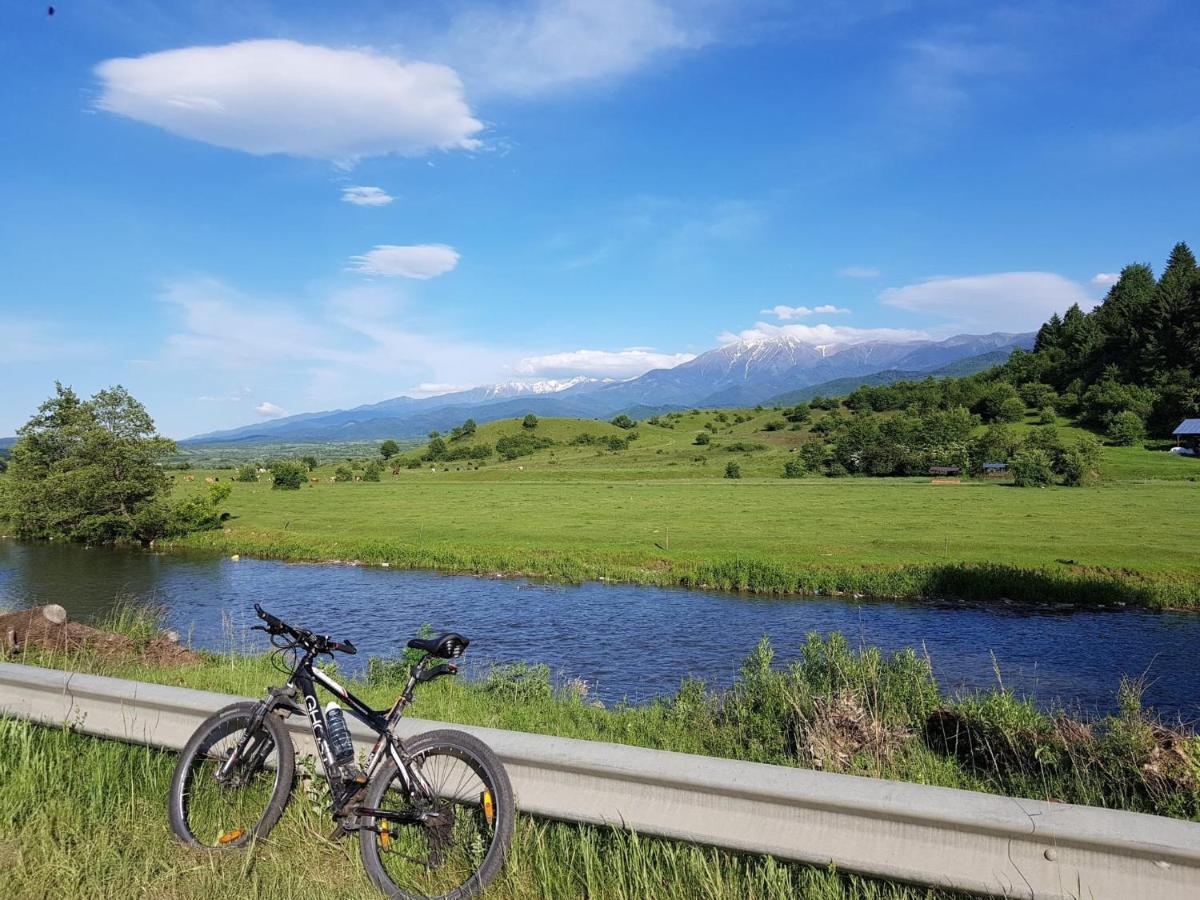 Căsuța din Rusca Villa Sebesu de Jos Exterior foto