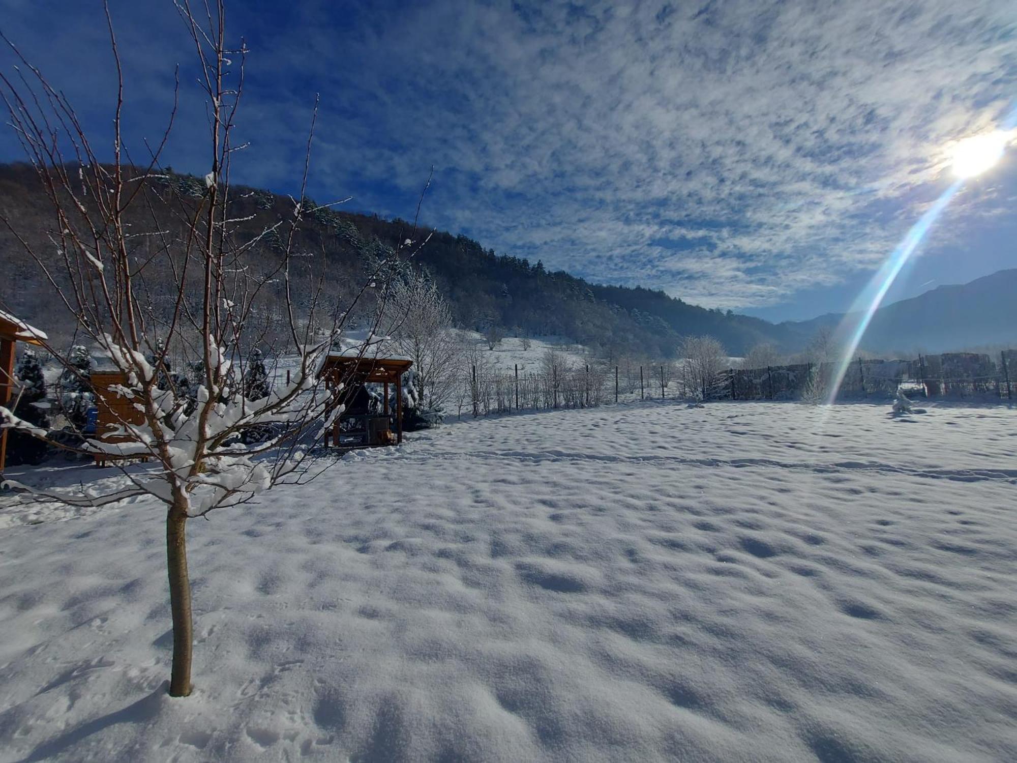 Căsuța din Rusca Villa Sebesu de Jos Exterior foto