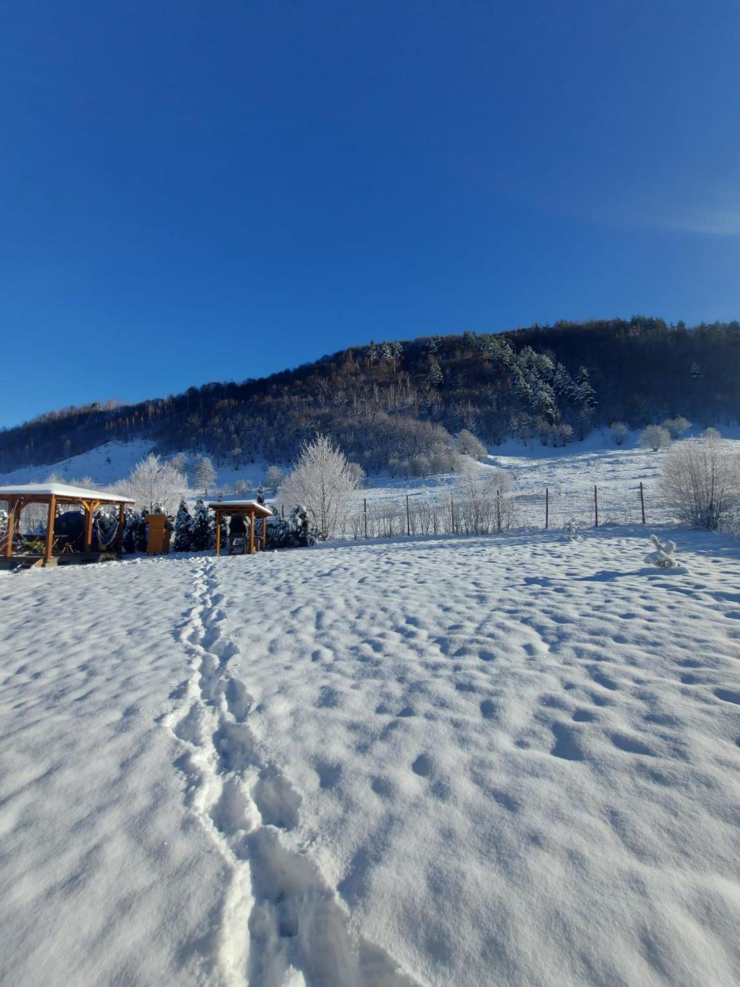 Căsuța din Rusca Villa Sebesu de Jos Exterior foto