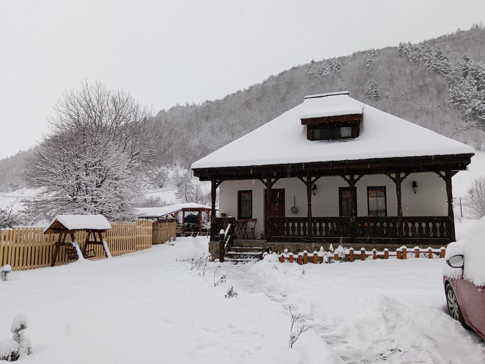 Căsuța din Rusca Villa Sebesu de Jos Exterior foto