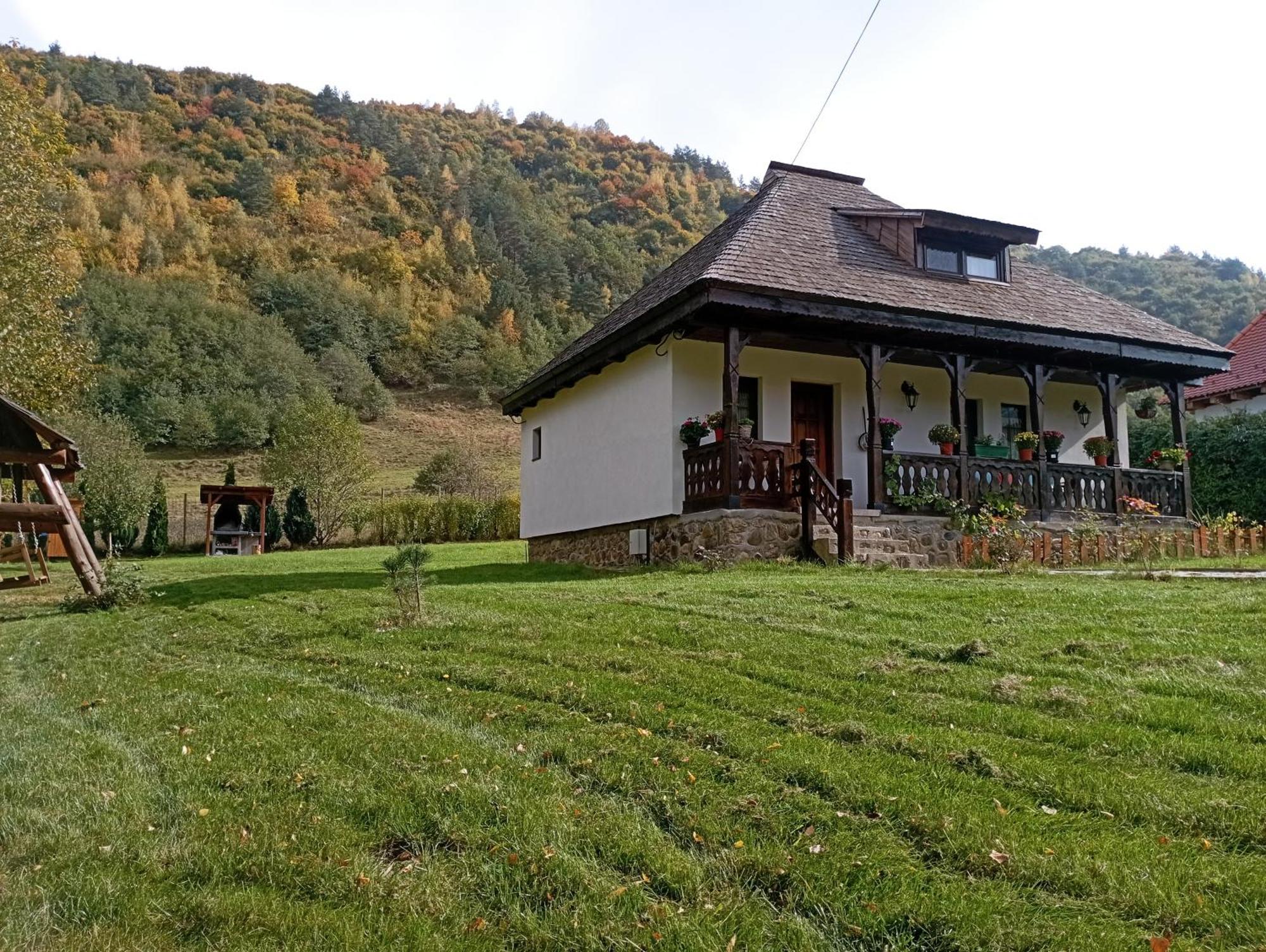 Căsuța din Rusca Villa Sebesu de Jos Exterior foto