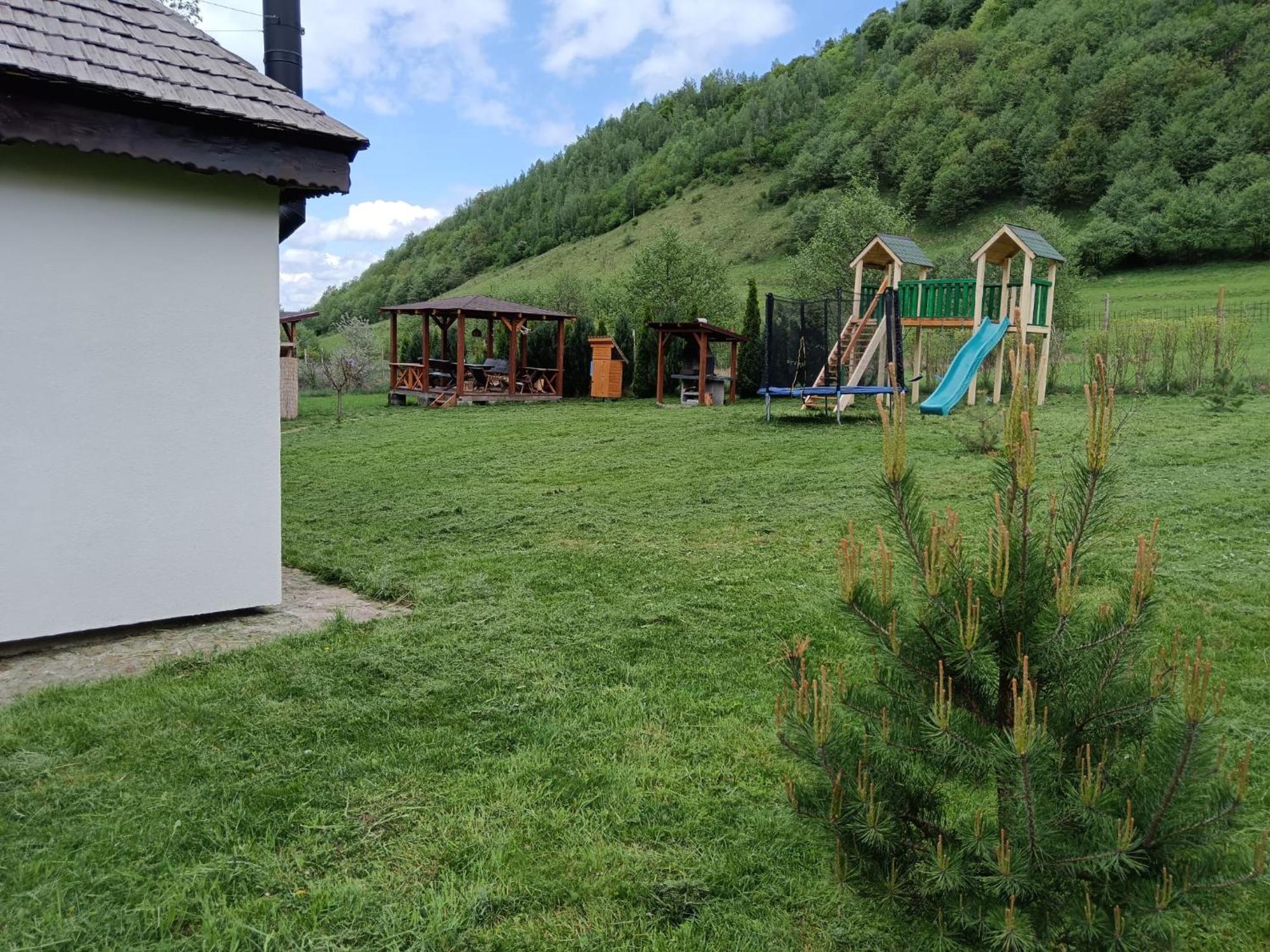 Căsuța din Rusca Villa Sebesu de Jos Exterior foto